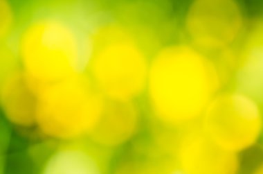 doğa bulanık çayır arka plan