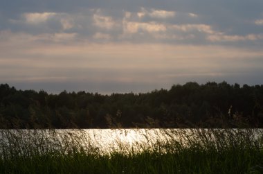 Vistula Nehri Varşova yakınlarında
