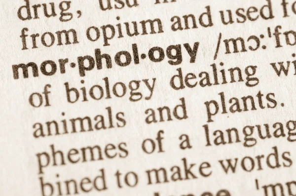 Slovníkovou definici slova morfologie — Stock fotografie