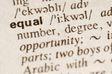 Dictionary definition of word equal 
