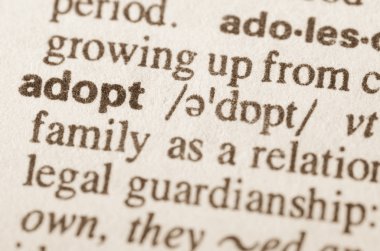 Kelimenin sözlük tanımı kabul 