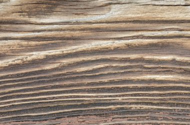 Eski ahşap doku arkaplanı 