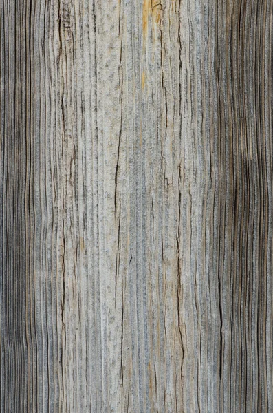 Vieux fond de texture en bois — Photo