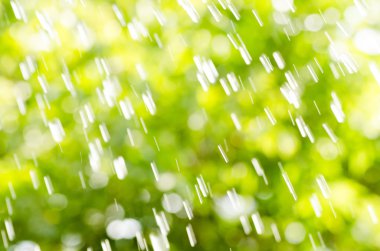 Odaklanmamış doğa arkaplanı