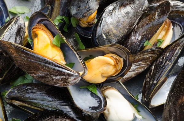 Tasty boiled mussels — Stock Photo, Image