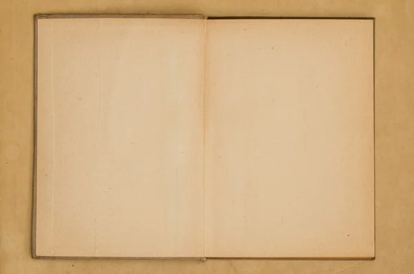 Старая пустая открытая книга — стоковое фото
