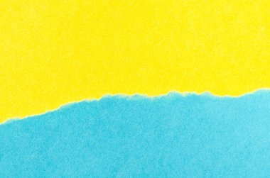 yırtık kağıt parçaları