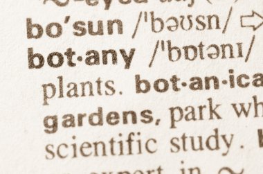 Word botanik sözlük tanımı 