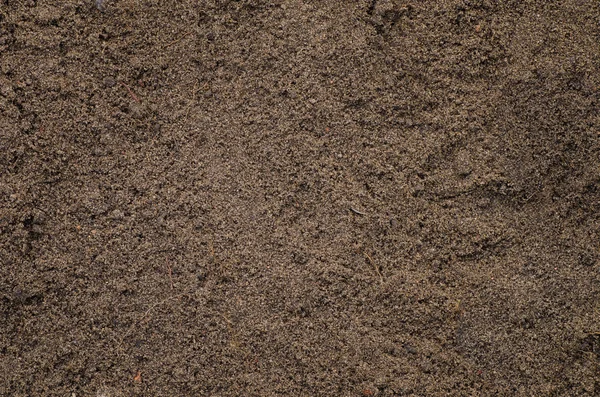 Tekstur latar belakang tanah — Stok Foto