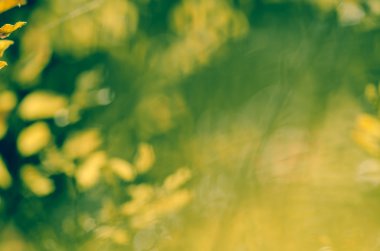 Sonbahar ufuk arka plan