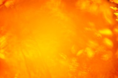 Sonbahar ufuk arka plan