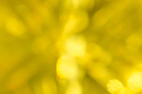 Defocused yellow  lights background — Stock Photo, Image