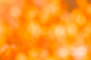 Ufuk sonbahar doğa arka plan