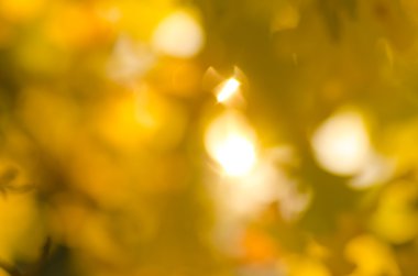 Ufuk sonbahar doğa arka plan