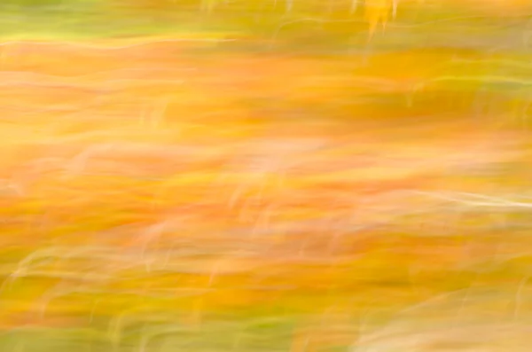秋、自然の背景をデフォーカス — ストック写真