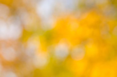 Ufuk sonbahar doğa arka plan