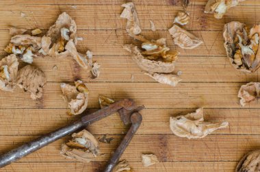 Fındıkkıran ve fındık