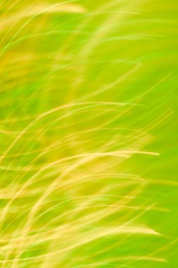 hareket ışık arka plan bulanık 