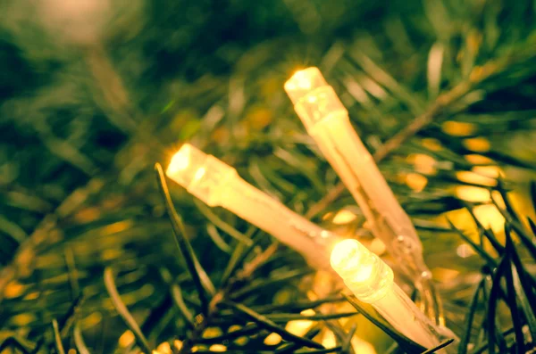 Luci di Natale su ramoscello di abete rosso — Foto Stock