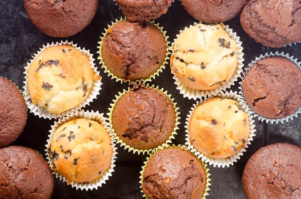 Muffins caseiros frescos — Fotografia de Stock