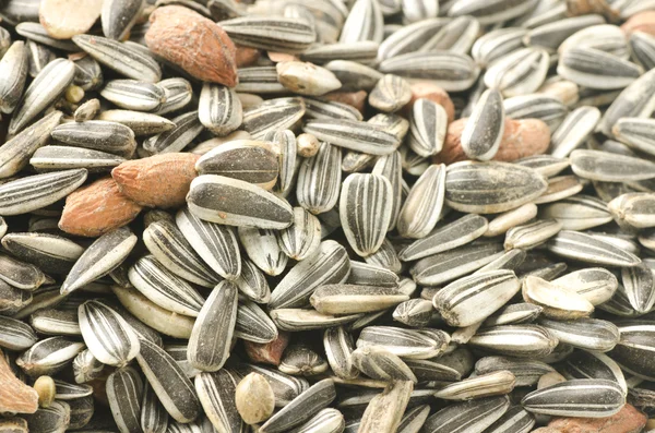 Food for birds — Stock Photo, Image