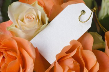 boş etiket ile gül