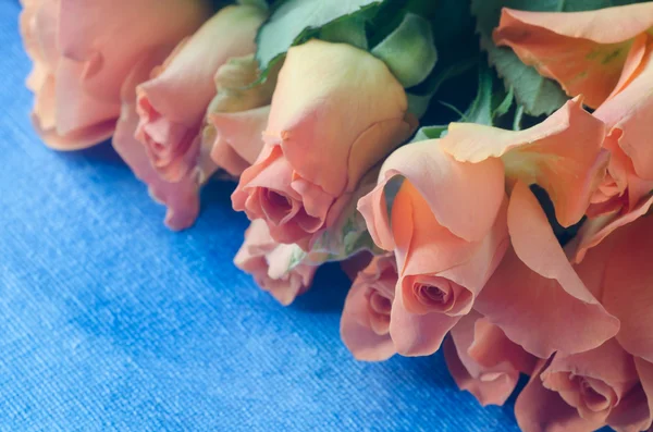 Розовые розы на голубом фоне — стоковое фото