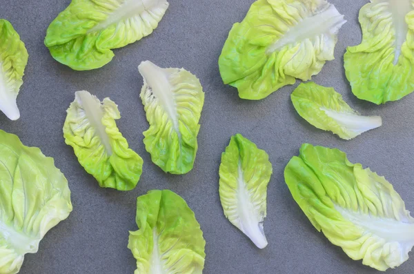 fres lettuce leaves