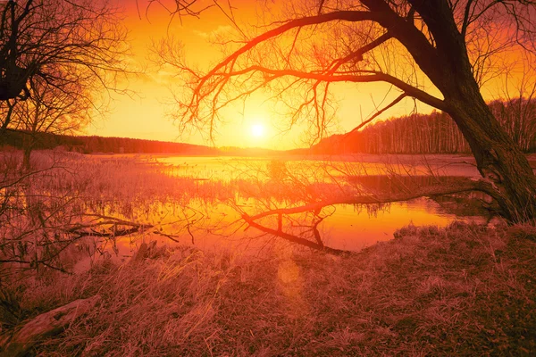 Orange sunset over lake — Stock Photo, Image