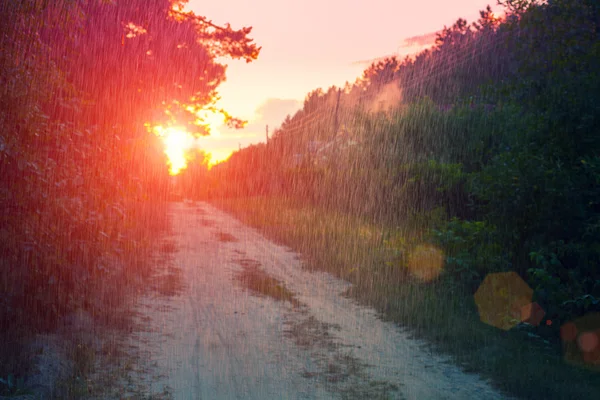 Feldweg bei Sonnenuntergang — Stockfoto