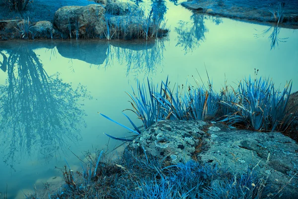 Mystical rocky river bank — Stock Photo, Image