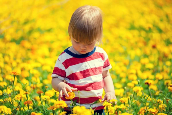 Garçon marche sur la pelouse de fleurs — Photo