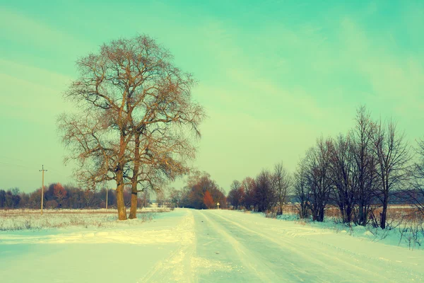 Kış karlı yolu — Stok fotoğraf