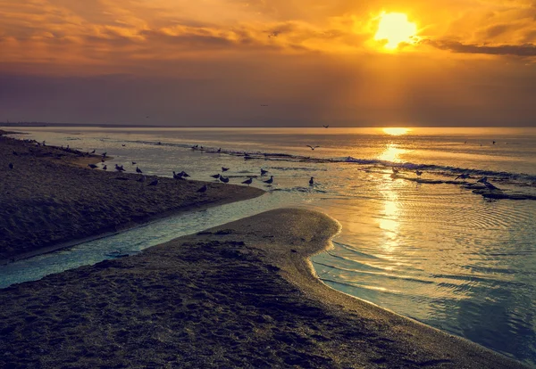 Napkelte felett beach — Stock Fotó