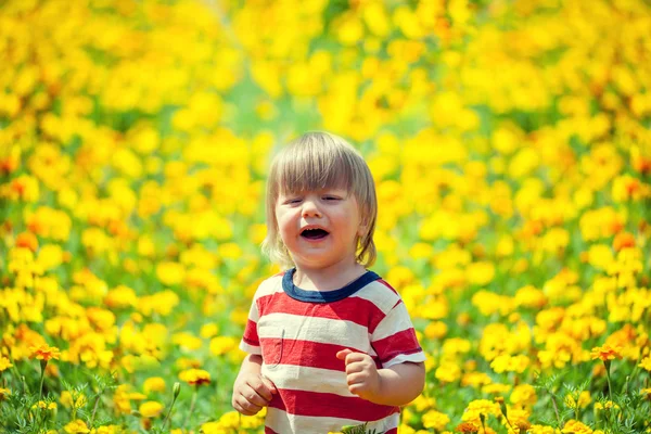 Petit garçon marchant dans les fleurs — Photo