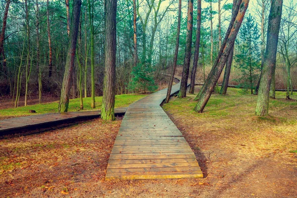 Dřevěná cesta v lese — Stock fotografie