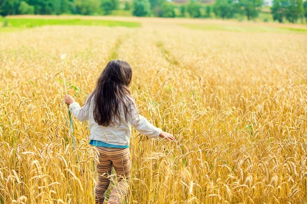 Kleines Mädchen mit fliegendem langen Haar läuft auf dem Weizenfeld — Stockfoto