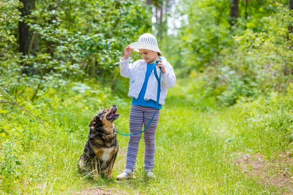 Маленькая девочка играет с собакой — стоковое фото