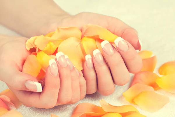 Female hands with perfect french manicure — Stock Photo, Image