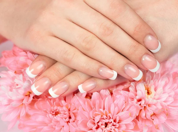 Female hands with perfect french manicure — Stock Photo, Image