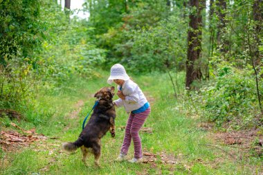 küçük kız köpekle oynamayı