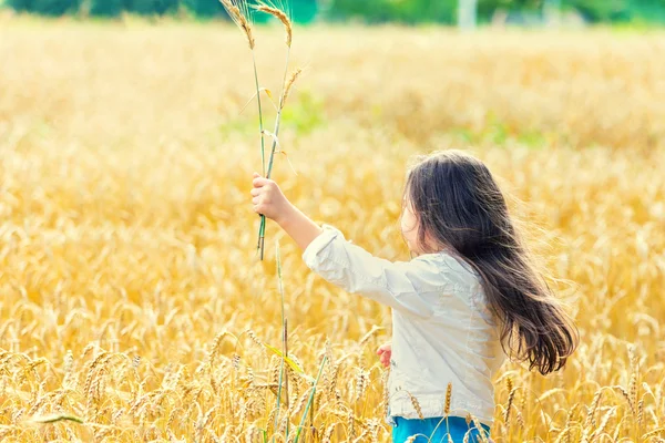 Kleines Mädchen auf dem Weizenfeld — Stockfoto