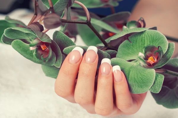 Mano femenina con manicura francesa — Foto de Stock