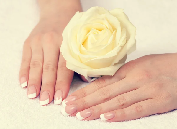 Manos femeninas con manicura francesa —  Fotos de Stock