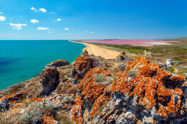 View at Pink lake — Stock Photo, Image