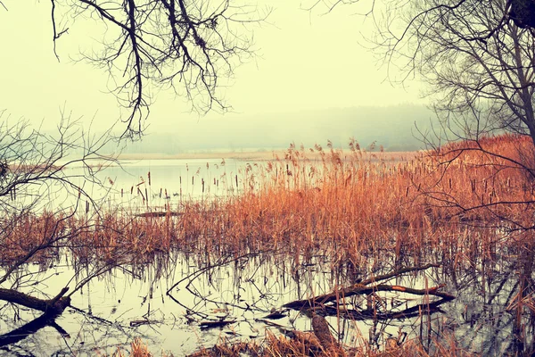 Göl üzerinde sabah sis — Stok fotoğraf