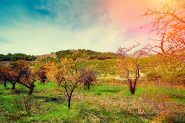 sonbahar kırsal manzara