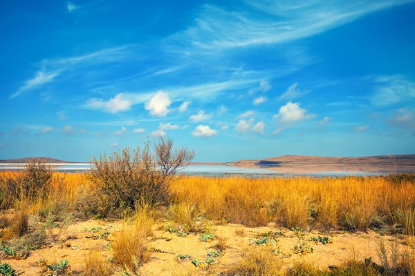 Lago no deserto — Fotografia de Stock