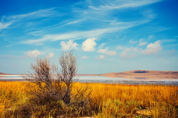 사막의 아름다운 호수 — 스톡 사진