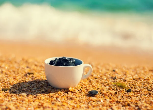 Dead sea mud in a cup — Stock Photo, Image